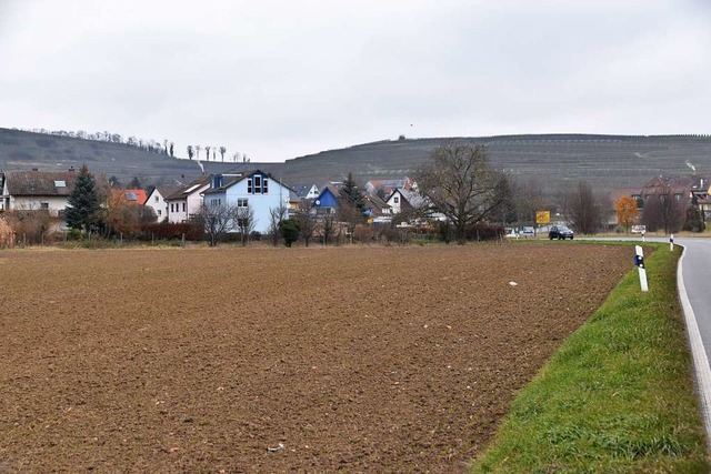 Auf diesem bislang landwirtschaftlich ... L104 soll ein Neubaugebiet entstehen.  | Foto: Thomas Rhenisch