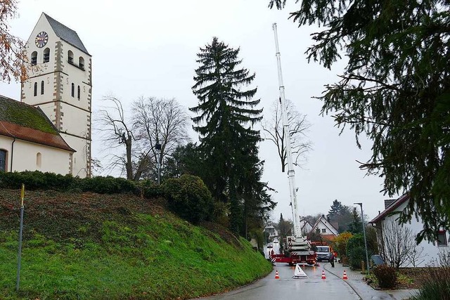 Ein Kran hob die Spitze der Linde weg, die direkt neben dem Kirchturm stand.  | Foto: Wolfgang Eckert