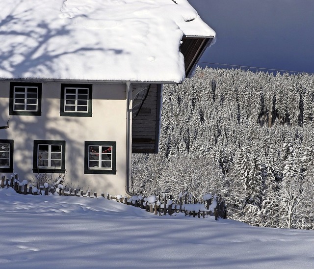 Hochschwarzwald, Bauernhof, Frauenschi...n beschreibt die Autorin ihren Roman.   | Foto: Susanne Gilg