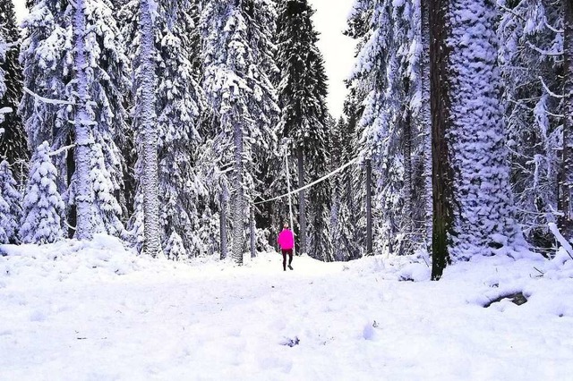Laufen im Winter &#8211; gut oder schlecht?  | Foto: Carolin Johannsen