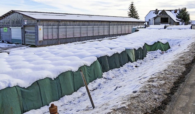 Am bestehenden Stall soll ein Rinderla...g und 7,3 Meter breit angebaut werden.  | Foto: Wilfried Dieckmann