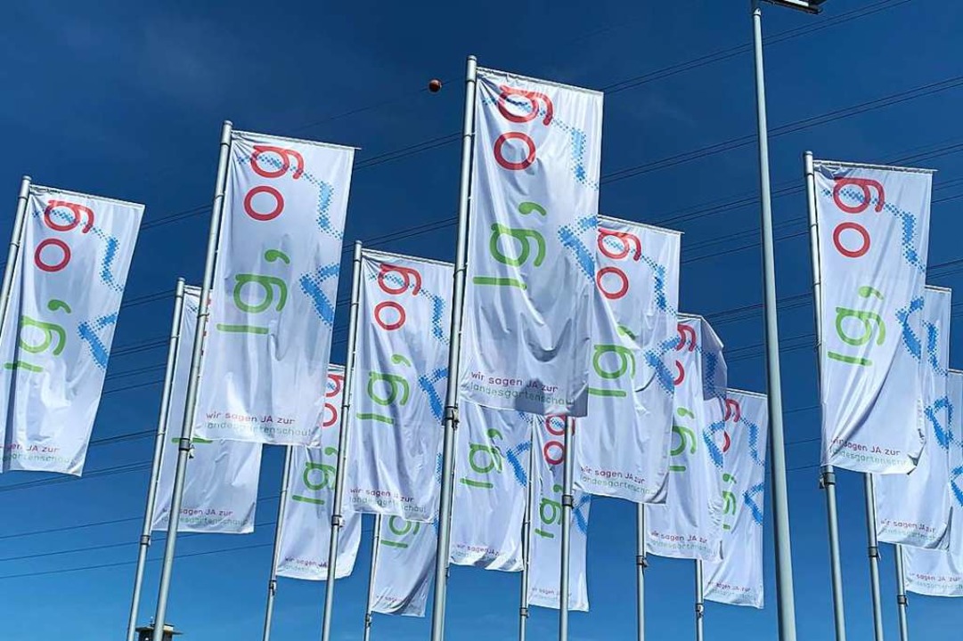 Die Landesgartenschau findet 2032 in Offenburg statt.  | Foto: Helmut Seller