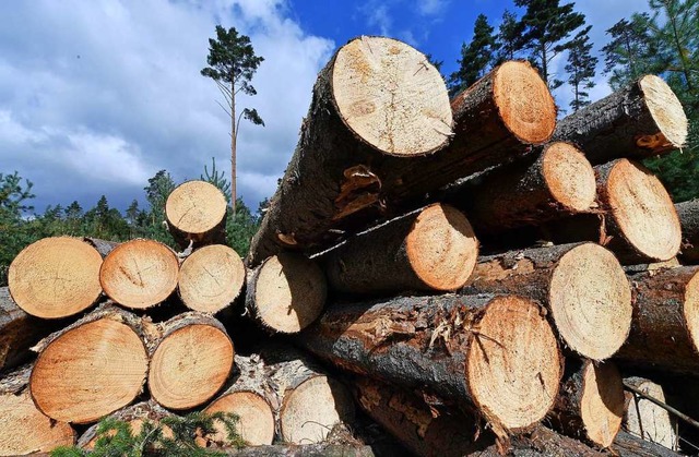 Kippenheim muss Verluste beim Holzverkauf verkraften.  | Foto: Martin Schutt (dpa)