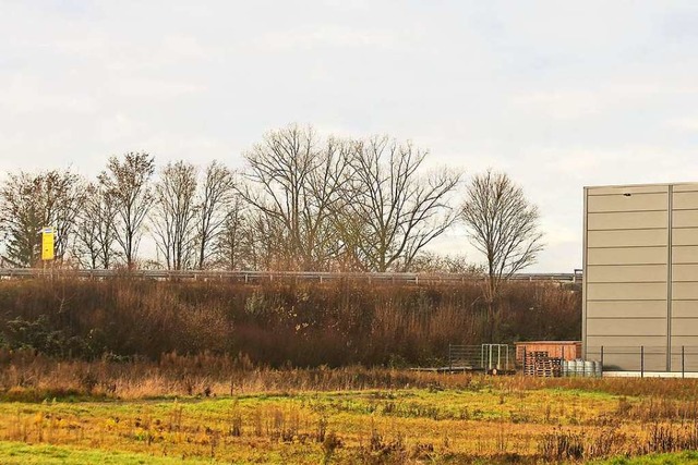 Vom Niveau der Grnflche, auf der das... hher gelegene L 103 gebaut werden.    | Foto: Sandra Decoux-Kone