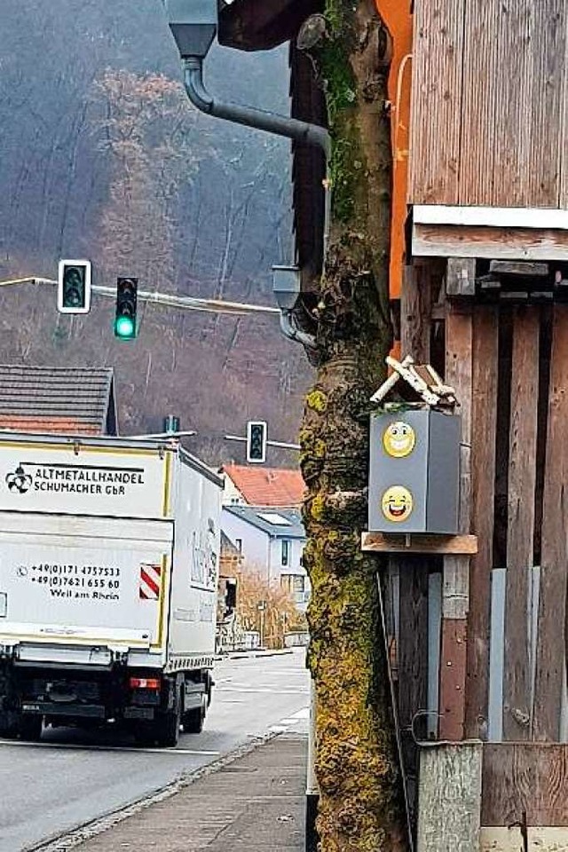 Fnf Vogelhuschen in Blitzeroptik finden sich jetzt in Degerfelden.  | Foto: privat