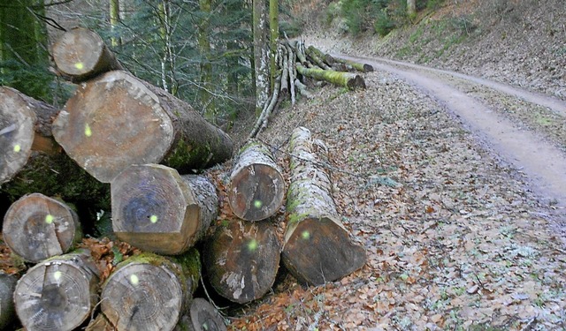 Holz ist kein  Garant mehr fr sichere Einnahmen.   | Foto: Victoria Langelott