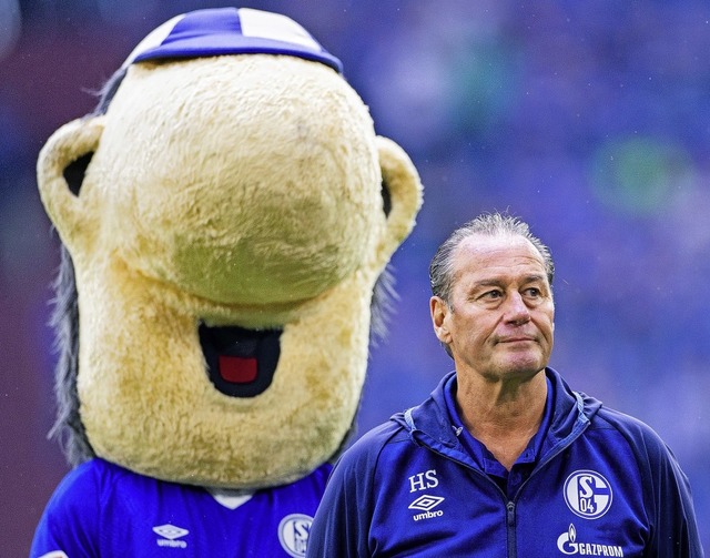 Auch Maskottchen Erwin hofft, dass Huub Stevens mit Schalke die Kurve kriegt.  | Foto: Rolf Vennenbernd (dpa)