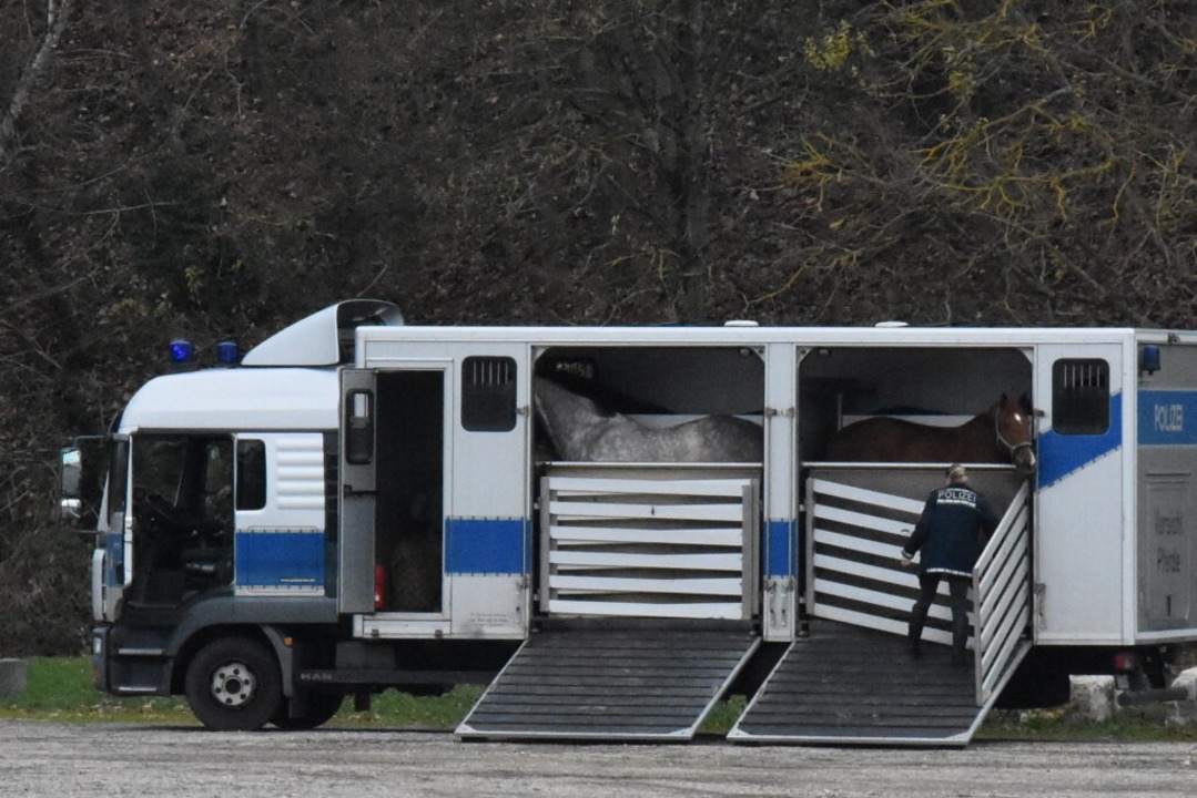 Auch Polizeipferde standen bereit.  | Foto: Kathrin Ganter