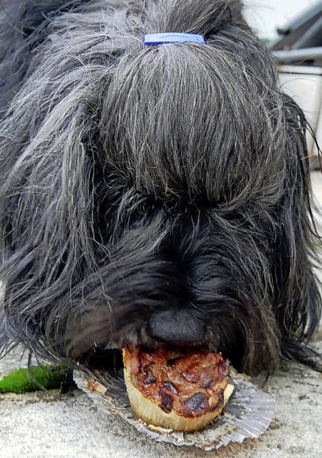 Der Kalbsleber-Muffin schmeckt dem Wuschel.   | Foto: Eva Korinth