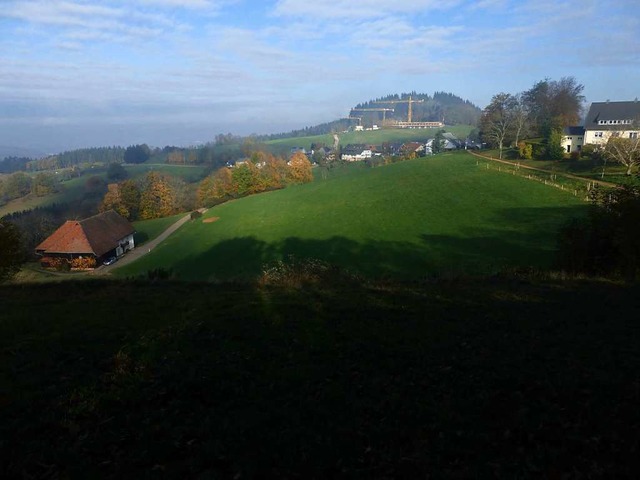 Entsteht hier bald ein Baugebiet?  | Foto: Andrea Gallien