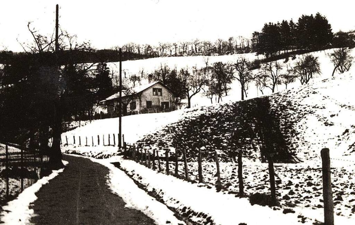 Der obere Neubergweg auf einem Foto au...emaligen Gesindehaus des Hebsackgutes.  | Foto: Archiv Hans Sigmund