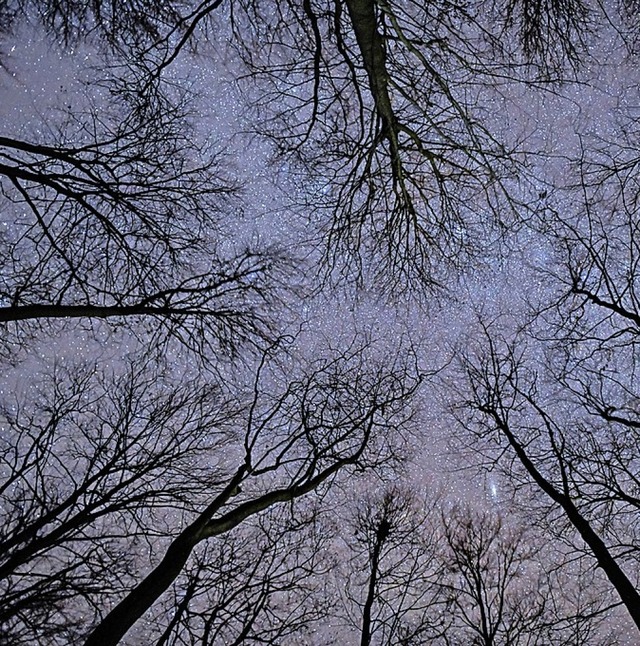 Unheimlich: das Dunkel der Nacht  | Foto: Patrick Pleul