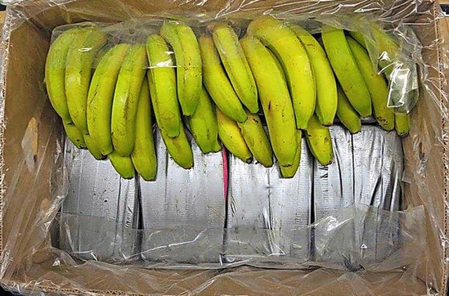 Das Kokain kam in Bananenkisten.  | Foto: Landeskriminalamt Baden-Wrttem