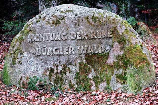 Im Bestattungswald &#8222;Lichtung der Ruhe&#8220;  | Foto: Dorothee Philipp