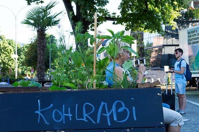 Stadt zum Anbeien: Wie Urban Gardening in Freiburg funktioniert