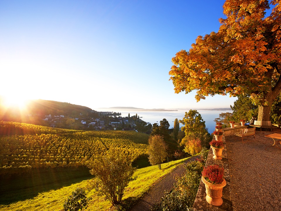 Das sind die schönsten Gärten und Parks am Bodensee Haus & Garten