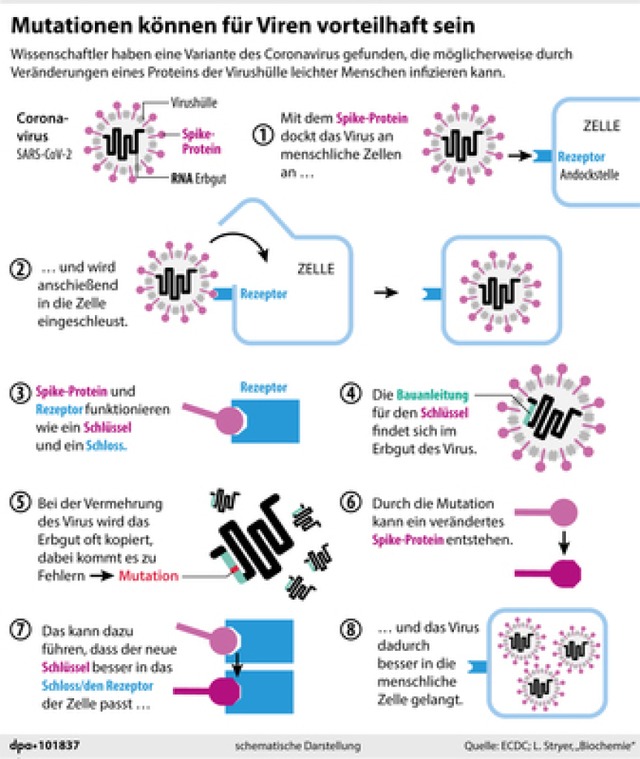   | Foto: dpa-infografik GmbH (dpa)