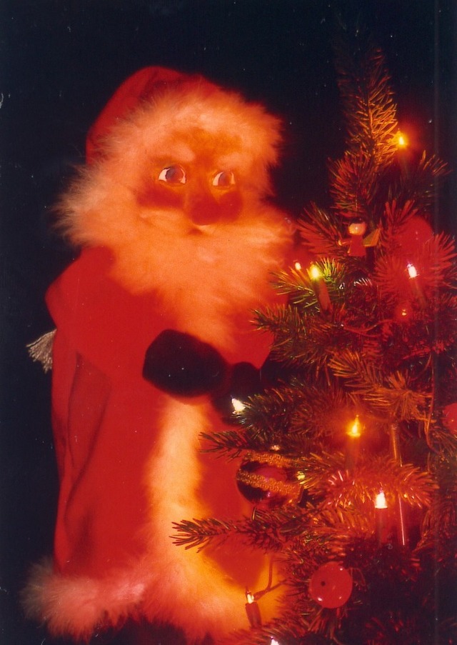 Kasper und der Weihnachtsmann  | Foto: Freiburger Puppenbhne