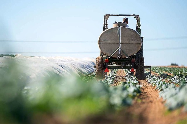 Ein Landwirt in Leinfelden-Echterdingen giet seine Pflanzen.  | Foto: Sebastian Gollnow (dpa)