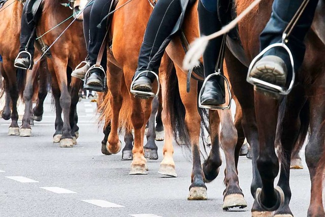Die Zahl der Pferde hat in Rheinfelden...l die SPD eine Pferdesteuer einfhren.  | Foto: Annette Riedl (dpa)