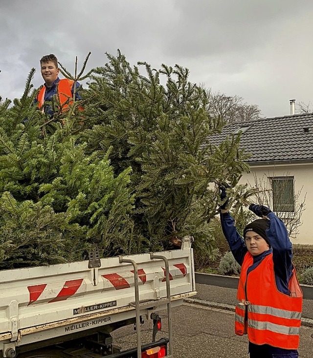 Abholen der Weihnachtsbume &#8211; daraus wird diese Jahr nichts  | Foto: Martin Eckert