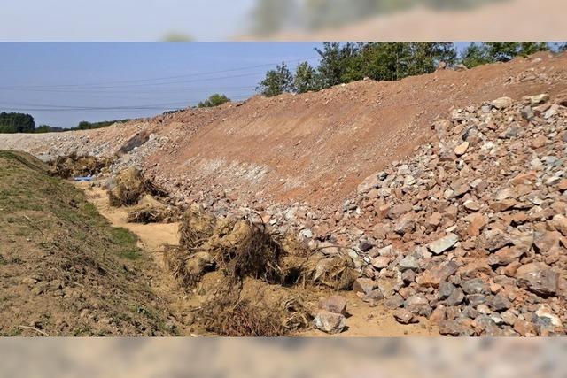 Blhende Landschaften hinterm Lrmschutzwall