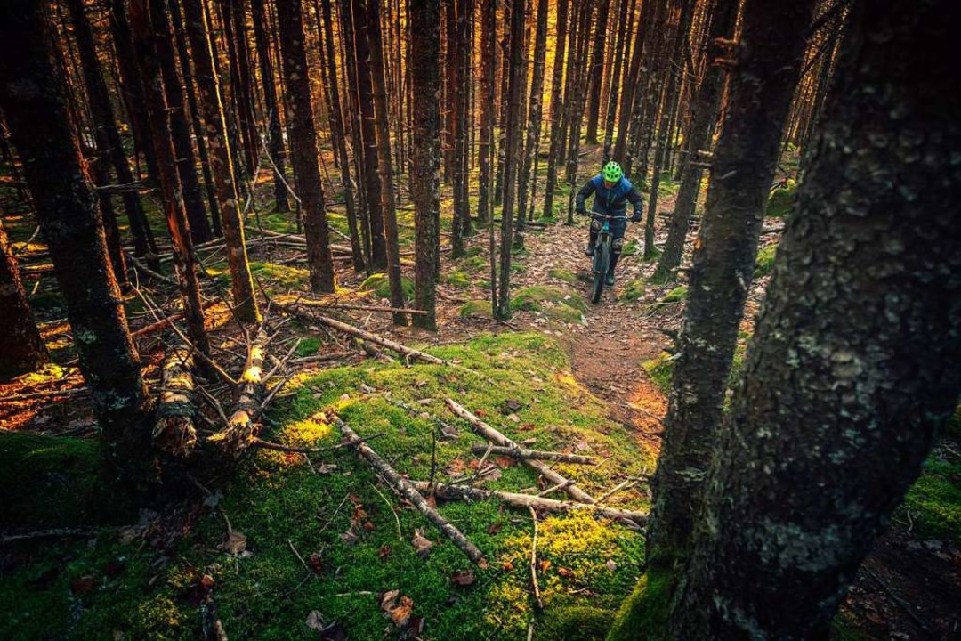 In Baden-Wrttemberg drfen Wege, die ...n der Ausbung des Sports ausgebremst.  | Foto: Tim Foster (Unsplash)