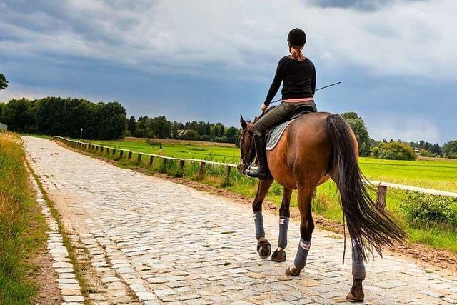 Pferdefreunde aus Rheinfelden gehen gegen Pferdesteuer auf die Barrikaden