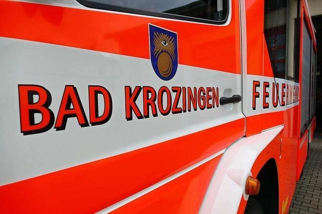 In Bad Krozingen startet Hilfskonvoi nach Kroatien