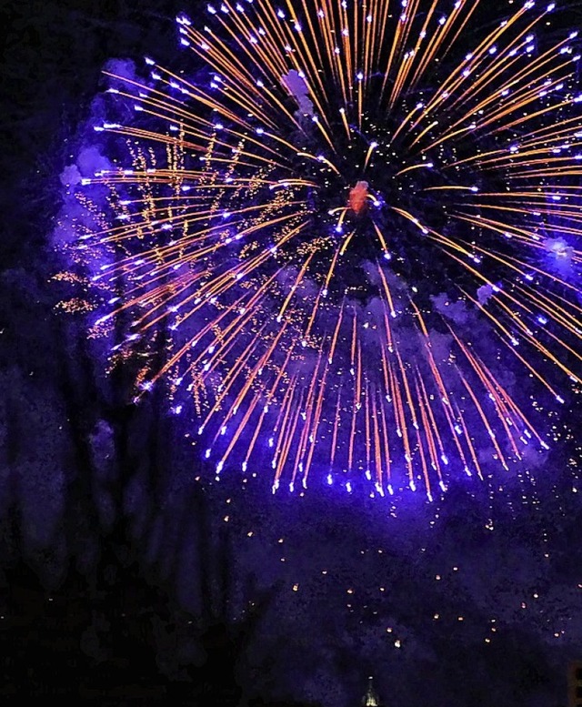 Zu diesem Jahreswechsel war das Feuerwerk verboten.  | Foto: Insa Sanders (dpa)