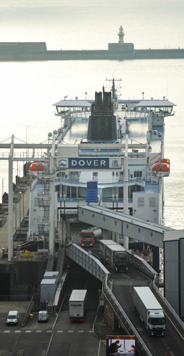 Lastwagen verlassen eine Fhre in Dover.  | Foto: JUSTIN TALLIS (AFP)