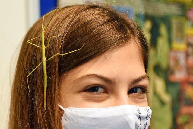Suchbild mit Stabschrecke: Tilia Schulthei mit ganz speziellem Haarschmuck.  | Foto: Rita Eggstein