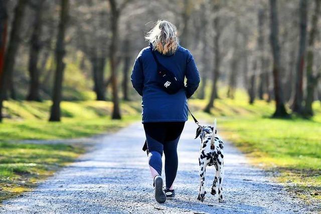 Was macht ein Hundebesitzer, wenn er in Quarantne muss?