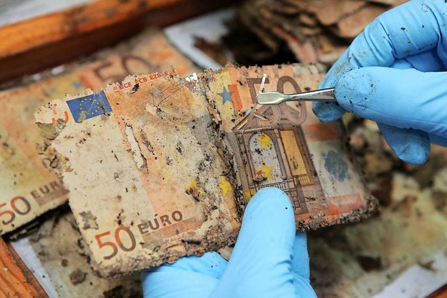 Die Wiederherstellung beschdigter Geldscheine ist hchst aufwndig.  | Foto: Fredrik von Erichsen
