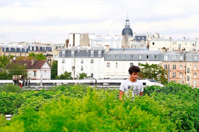 Urban Gardening in einem Pariser Voror...iffe in das bestehende Verkehrssystem.  | Foto: BENJAMIN CREMEL