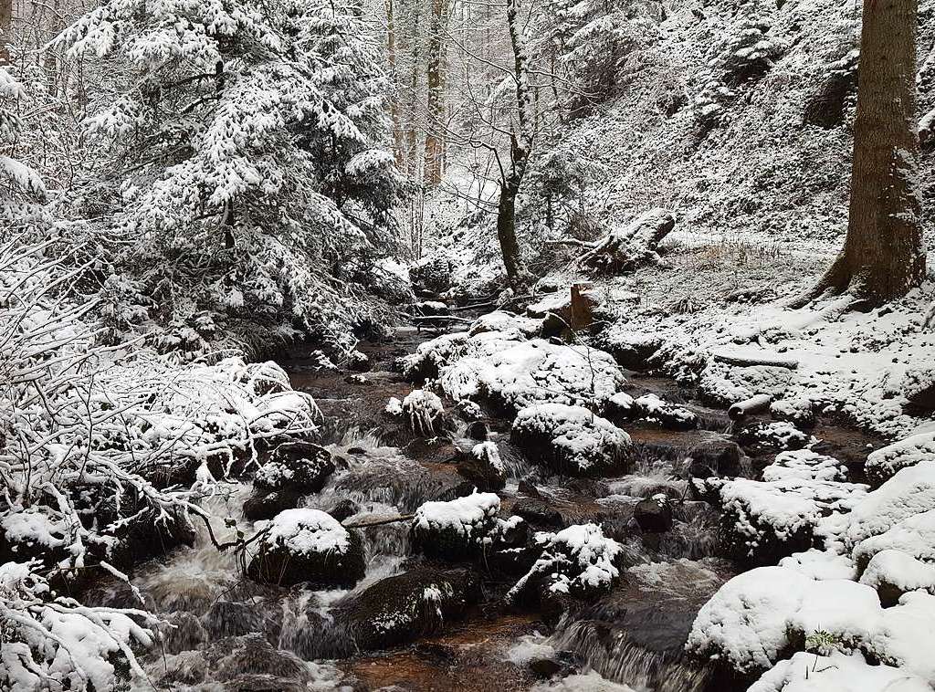 Der Rthekopf und die Wanderwege dorthin versinken im Schnee.