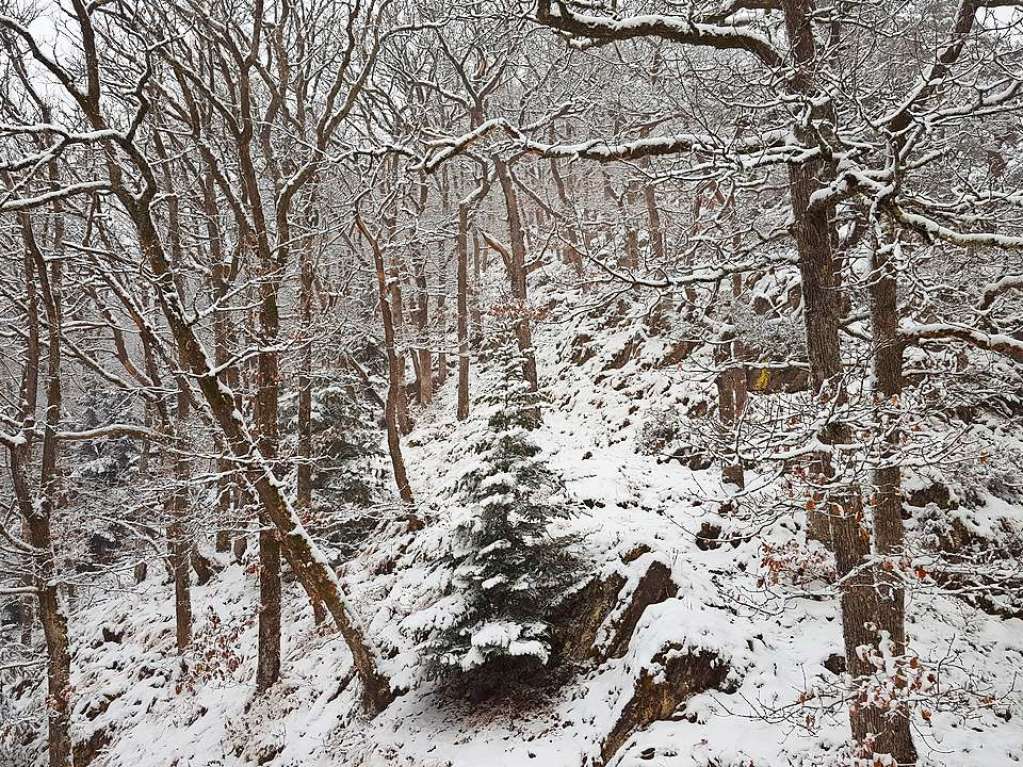 Der Rthekopf und die Wanderwege dorthin versinken im Schnee.