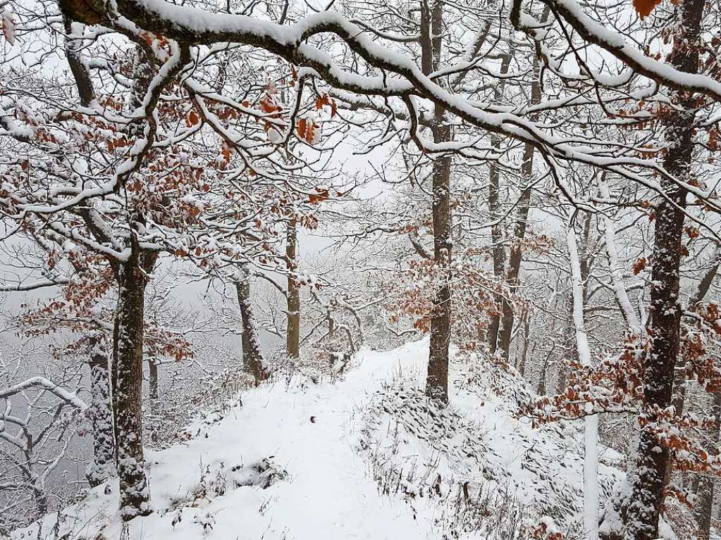 Der Rthekopf und die Wanderwege dorthin versinken im Schnee.