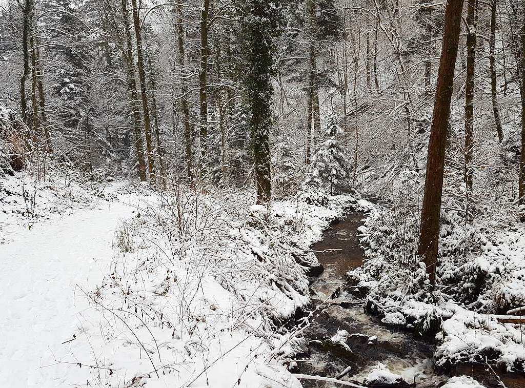 Der Rthekopf und die Wanderwege dorthin versinken im Schnee.