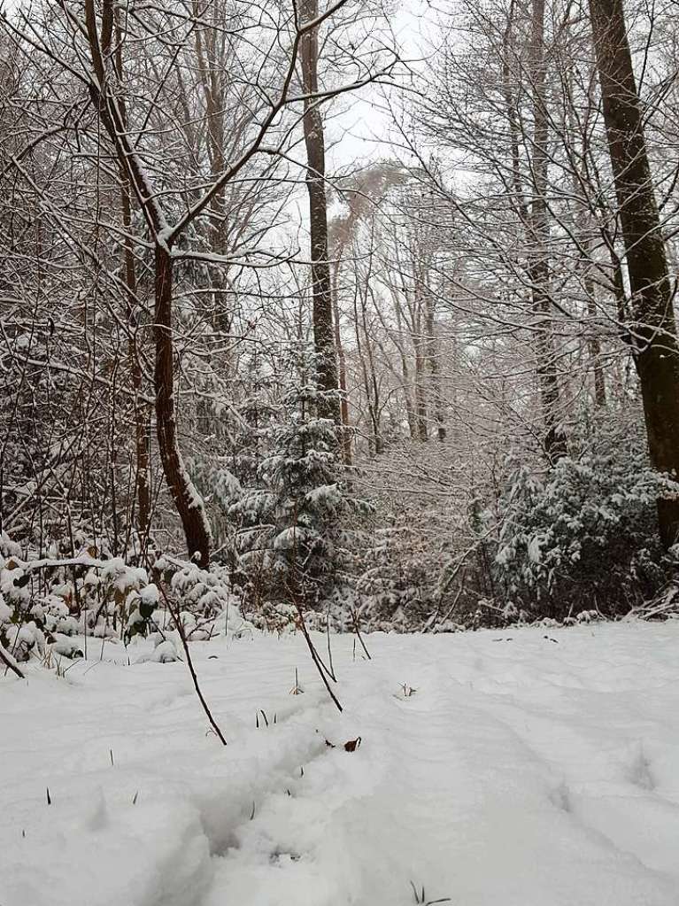 Der Rthekopf und die Wanderwege dorthin versinken im Schnee.