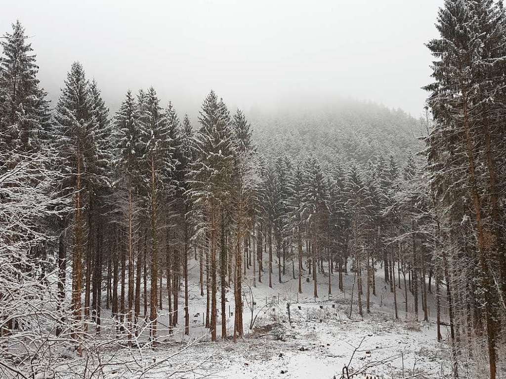 Der Rthekopf und die Wanderwege dorthin versinken im Schnee.