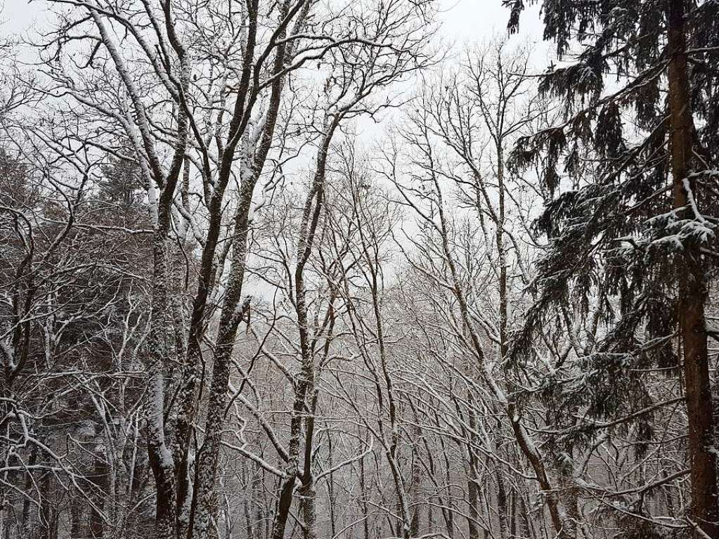 Der Rthekopf und die Wanderwege dorthin versinken im Schnee.