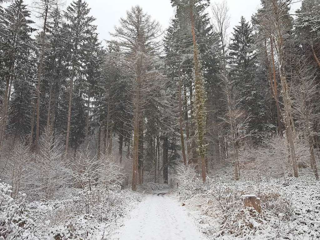 Der Rthekopf und die Wanderwege dorthin versinken im Schnee.