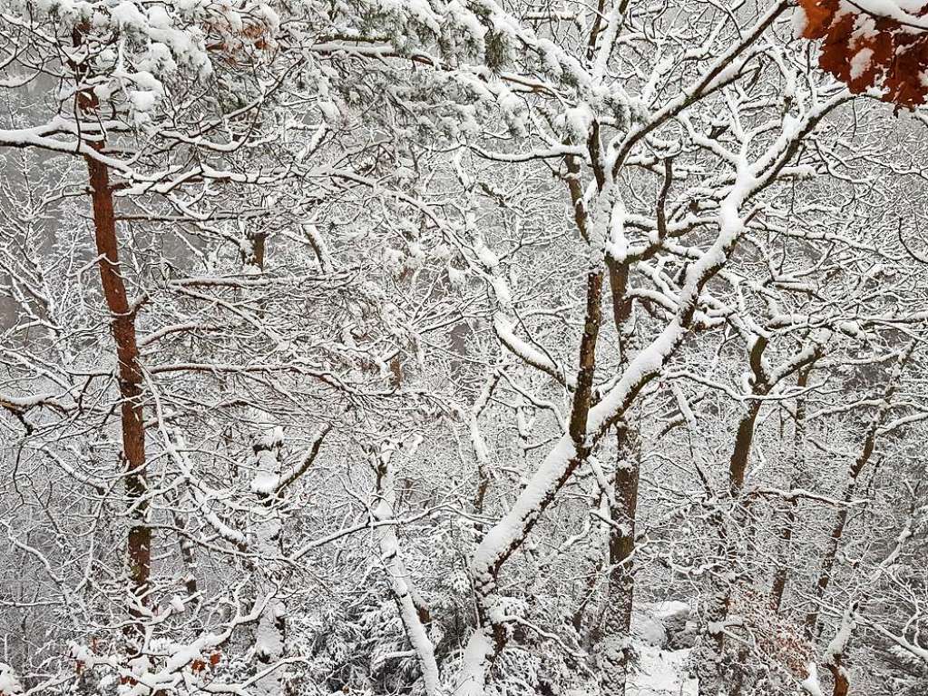 Der Rthekopf und die Wanderwege dorthin versinken im Schnee.