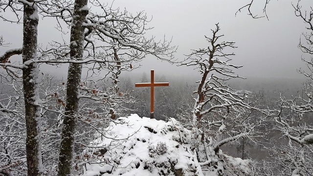   | Foto: Stefan Mertlik