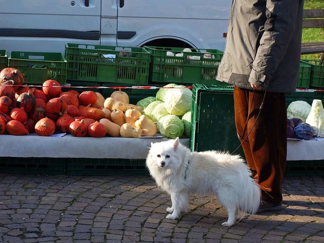 Vor Corona haben viele Hundehalter ihr...ewiesen, dass dies nicht zulssig ist.  | Foto: Danielle Hirschberger