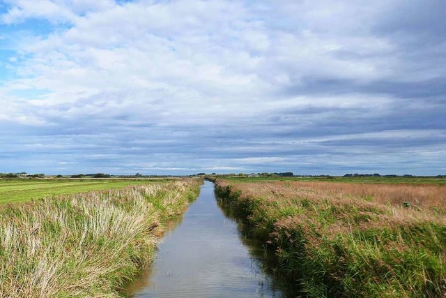 Weites Land: Entwsserungskanle durch...roen Auswanderungswelle nach Amerika.  | Foto: Drte Nohrden (dpa)