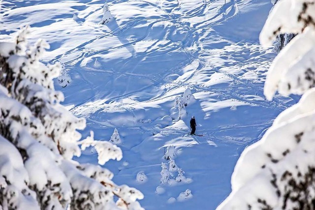 Der Gang in die Natur zhlt zu den (wi...irus noch lie: Skifahrer am Feldberg.  | Foto: Philipp von Ditfurth (dpa)