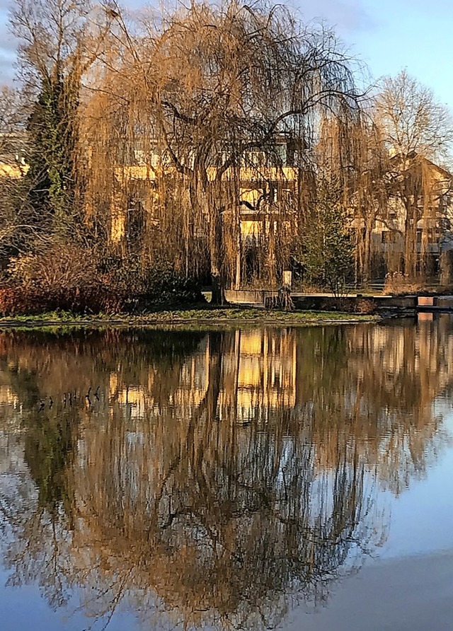 Auch im Winter  bietet der Bad Belling...leine Gartenschau nicht erhalten hat.   | Foto: Jutta Schtz