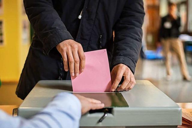 Landtagswahl am 14. Mrz: Auf Stimmenfang im Lockdown